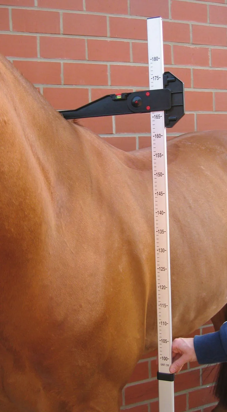BUSSE Stockmaß ALU, aluminium, 180 cm, 180