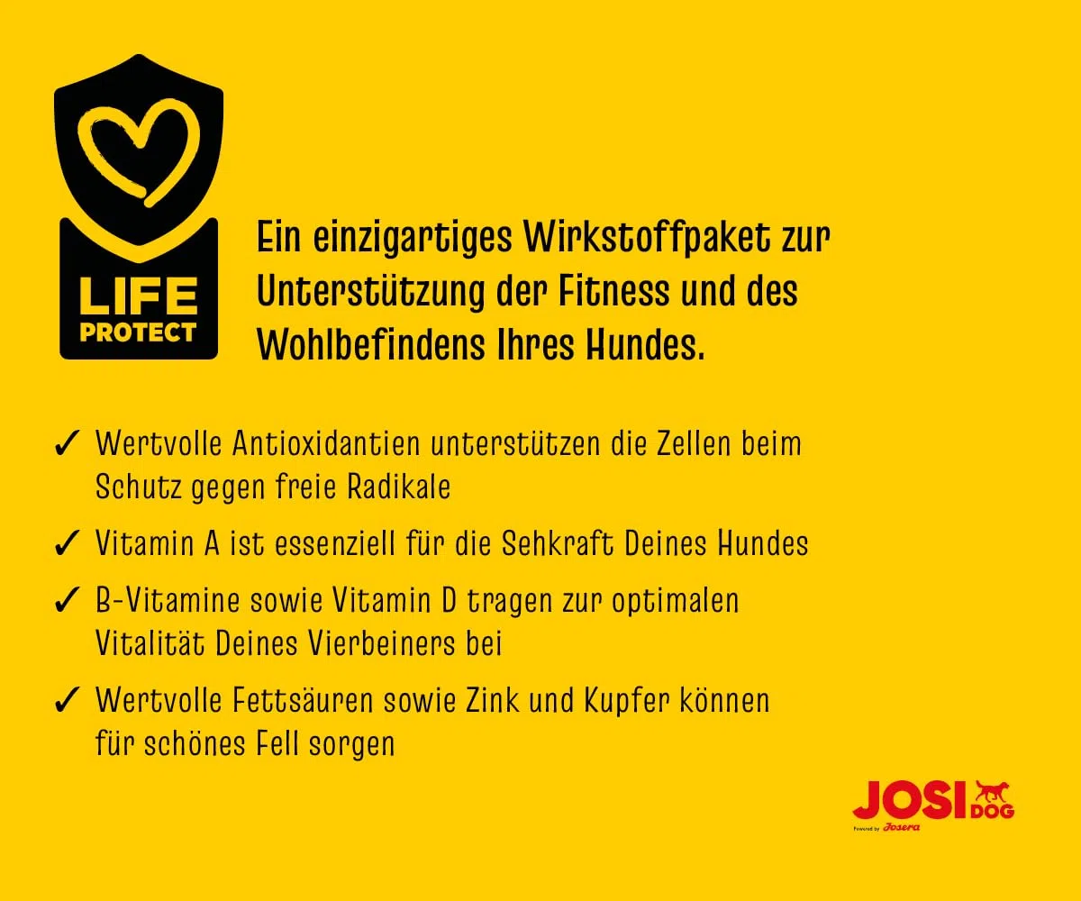 JosiDog Adult Sensitive (1 x 15 kg) | Adult | Premium Trockenfutter für empfindliche Hunde | besonders bekömmlich mit viel Geflügelprotein | glutenfrei | Powered by JOSERA | Hundefutter | 1er Pack