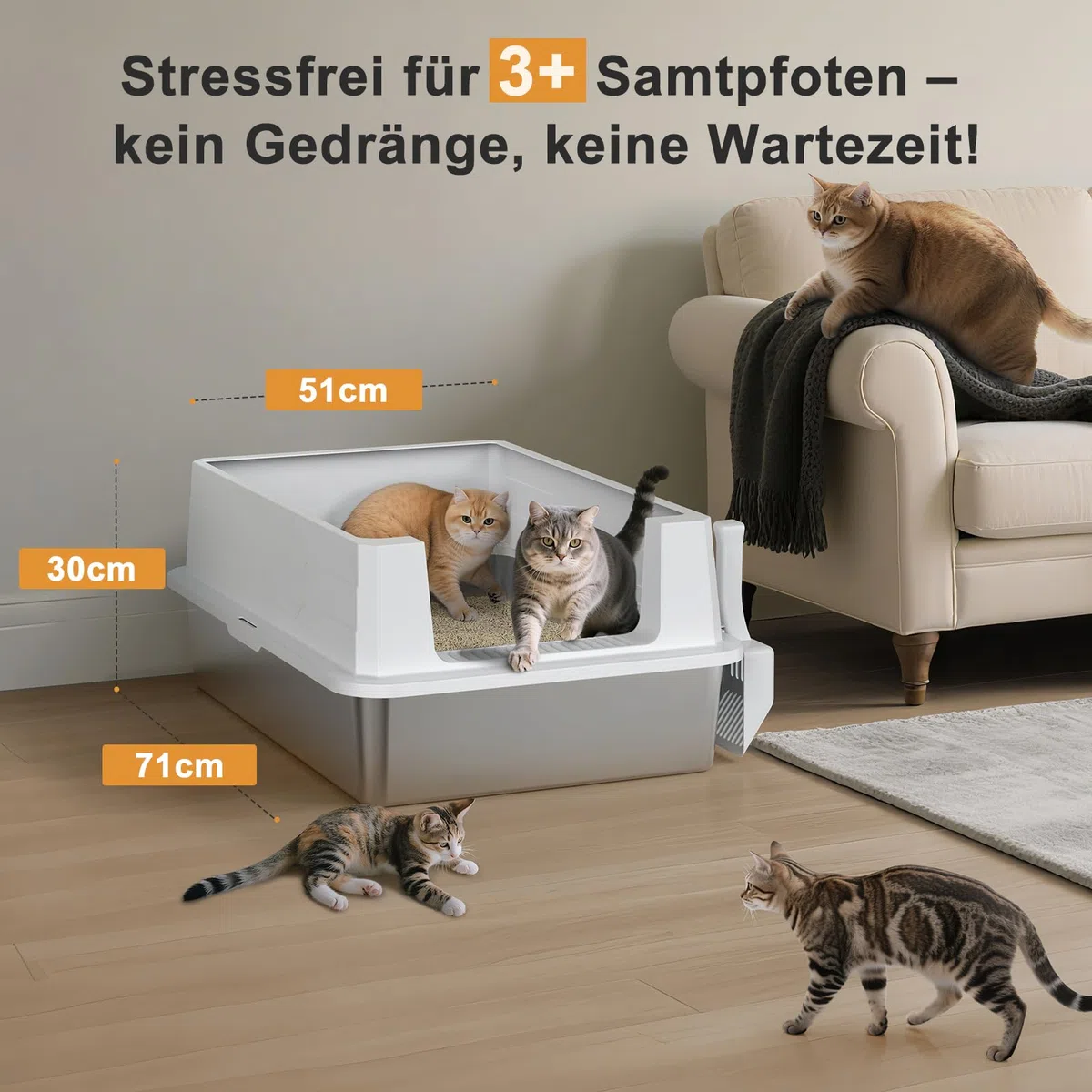 MIXJOY XXXL Katzenklo Edelstahl, Katzenklo Extra Groß 71x51x30 cm, Offene Katzentoilette Edelstahl Passend für Große Katzenrassen und Mehrkathenhaushalte, Großformatige Hochrand-Ausführung