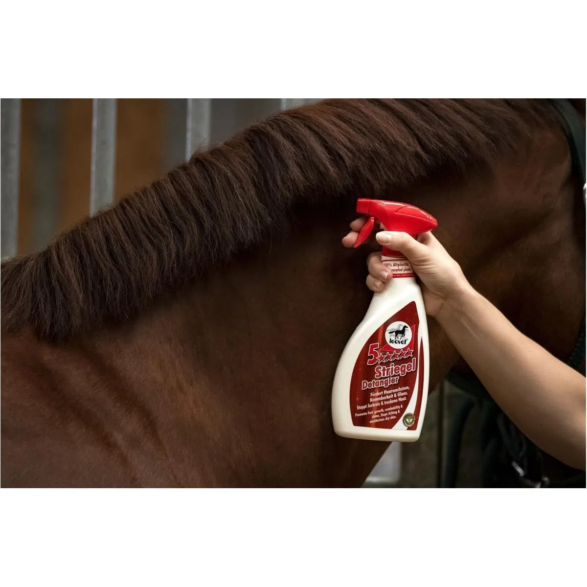 RL24 leovet - 5-Sterne Striegel | Mähnenspray für Pferde | Schweifspray für Glanz & leichte Kämmbarkeit | stoppt Juckreiz & trockene Haut | Schutz vor Schmutz | 2 x 550 ml Sprühflasche (2er Set)