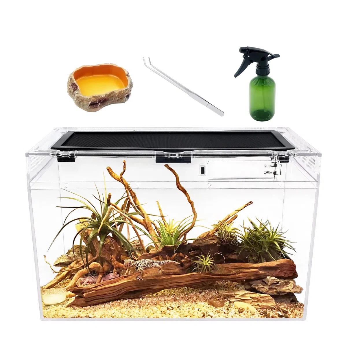 Reptile Growth Terrarium Komplettset, 16" x 8"x 10" Faunarium für,Schnecken,Insekten,Wasserschildkröten，Vogelspinnen,Springspinne,Leopard Gecko,Bärtiger Drache ，Frosch,Aquarium,Einsiedlerkrebs