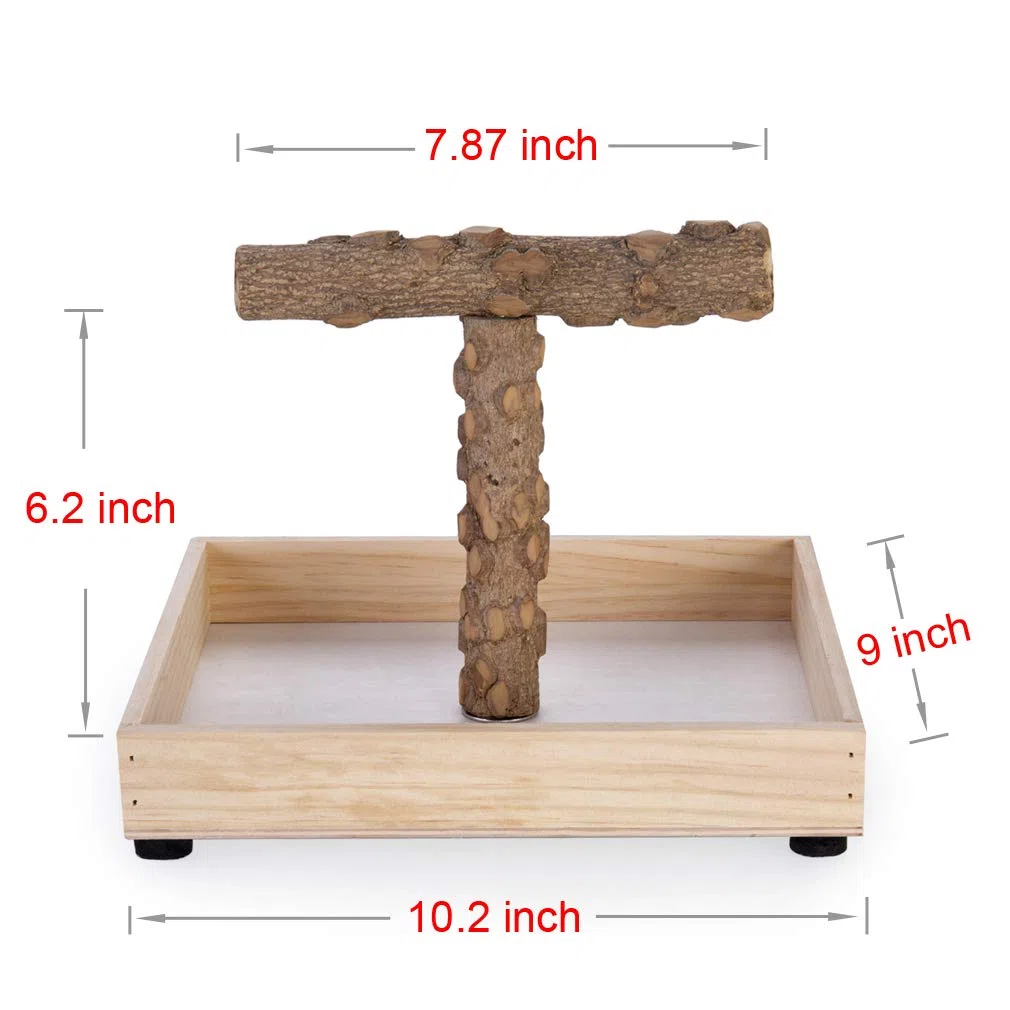 Vogelständer, Tischplatte, tragbarer Teeständer, Papageien-Spielständer, Sitzstange, Fitnessstudio für kleine, mittelgroße Papageien (T-Ständer)
