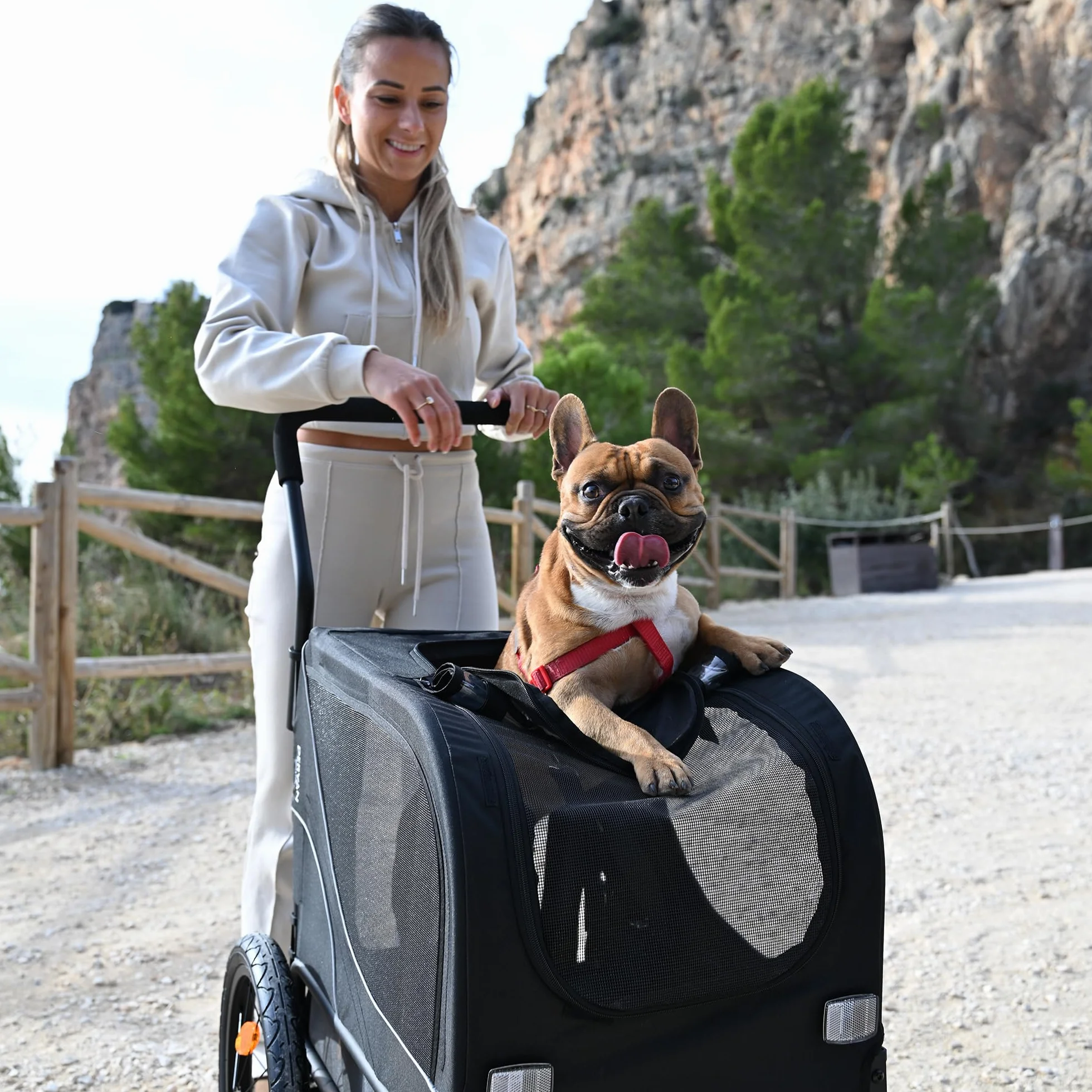 Deryan Hundefahrradanhänger 2-in-1 für Hunde - Fahrradanhänger XL, Jogger & Buggy - Zusammenklappbar & Multifunktional - Bis 20 kg - Für E-Bikes geeignet - Federung Fahrradanhänger Jogger - Schwarz