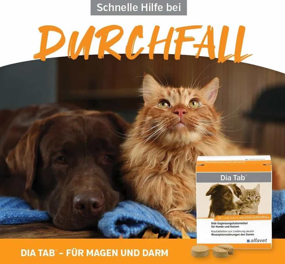 alfavet Dia Tab, 60 x 5,5g, Diät-Ergänzungsfuttermittel für Hunde und Katzen, Kautablette bei und nach akutem Durchfall
