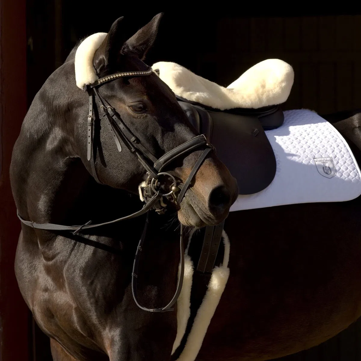 Werner Christ Sattelsitzbezug Englisch aus echtem Lammfell für komfortabel gepolstertes Reiten, Gr. Pony und Warmblut für Pferde-Sattel 14,5 – 15,5“ und 15,5-17,5“, Fell in Natur, schwarz & braun