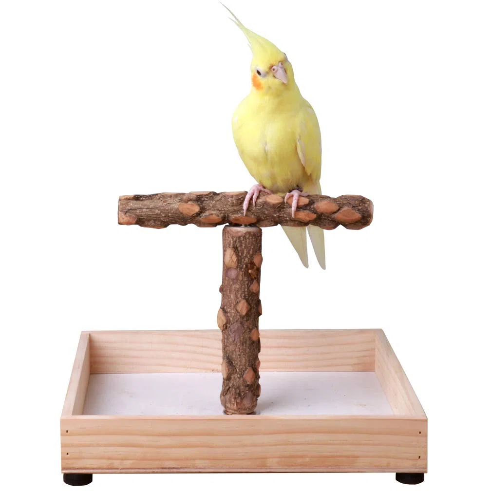 Vogelständer, Tischplatte, tragbarer Teeständer, Papageien-Spielständer, Sitzstange, Fitnessstudio für kleine, mittelgroße Papageien (T-Ständer)