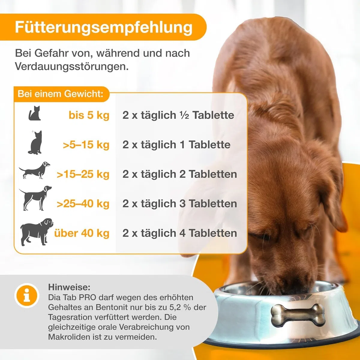 alfavet Dia Tab PRO 100 g – Diät-Ergänzungsfuttermittel für Hunde & Katzen – Prä- & Probiotika zur Stabilisierung der Verdauung – Leckere Kautabletten mit Bentonit zur Unterstützung der Darmflora
