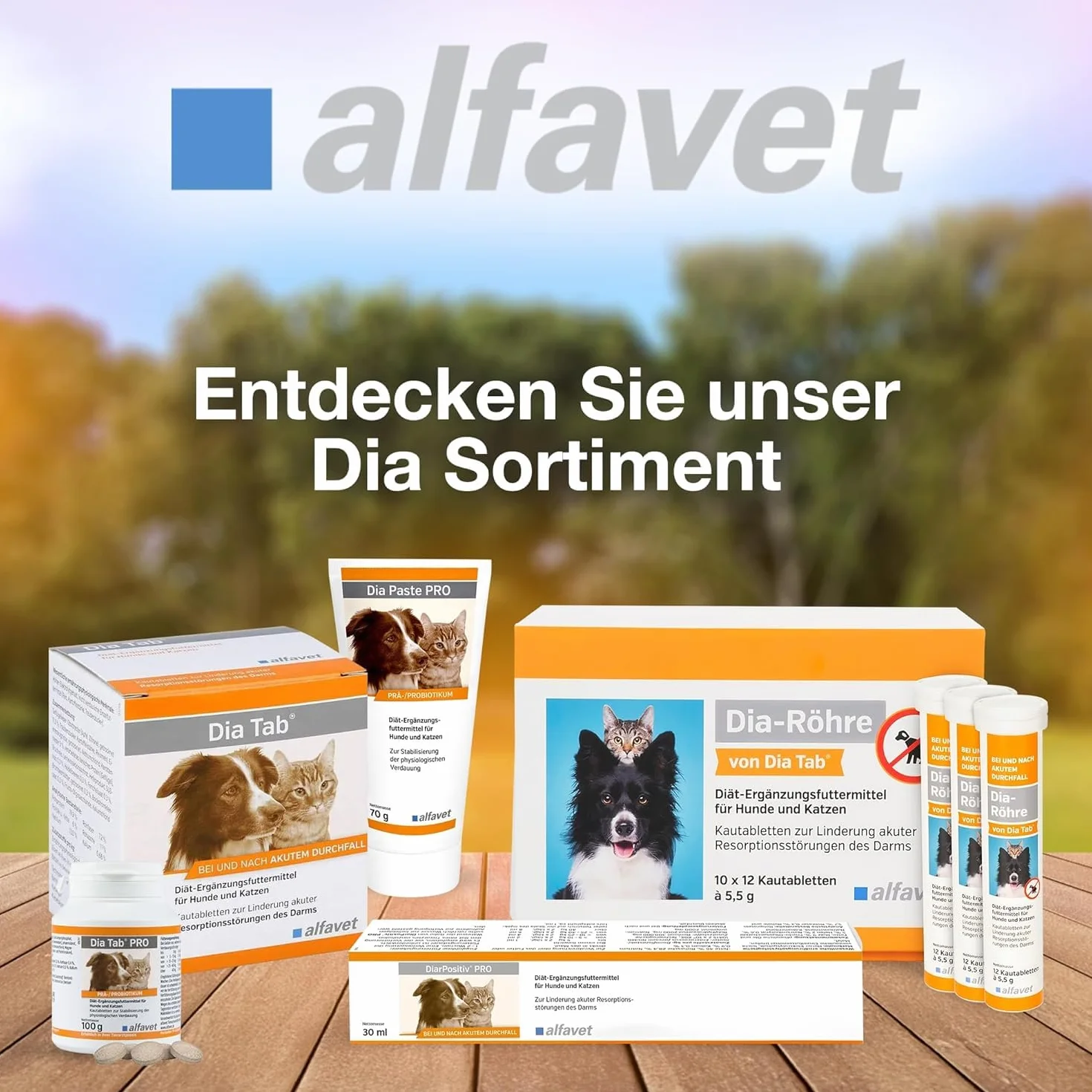 alfavet Dia Tab PRO 100 g – Diät-Ergänzungsfuttermittel für Hunde & Katzen – Prä- & Probiotika zur Stabilisierung der Verdauung – Leckere Kautabletten mit Bentonit zur Unterstützung der Darmflora