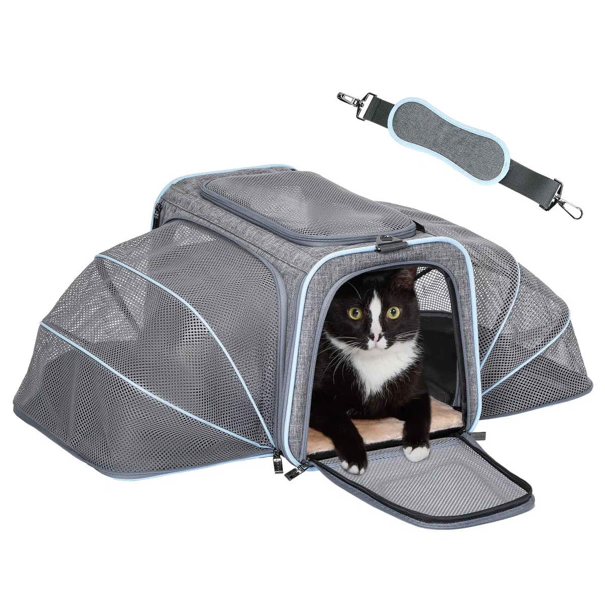 Petsfit Faltbarer Transporttasche Katze und Hund,erweiterbare Katzentransportbox mit Schultergurt Hundetragetasche Flugtasche Oxford Gewebe für Katze und Hund, M/Grau/Doppelseitig