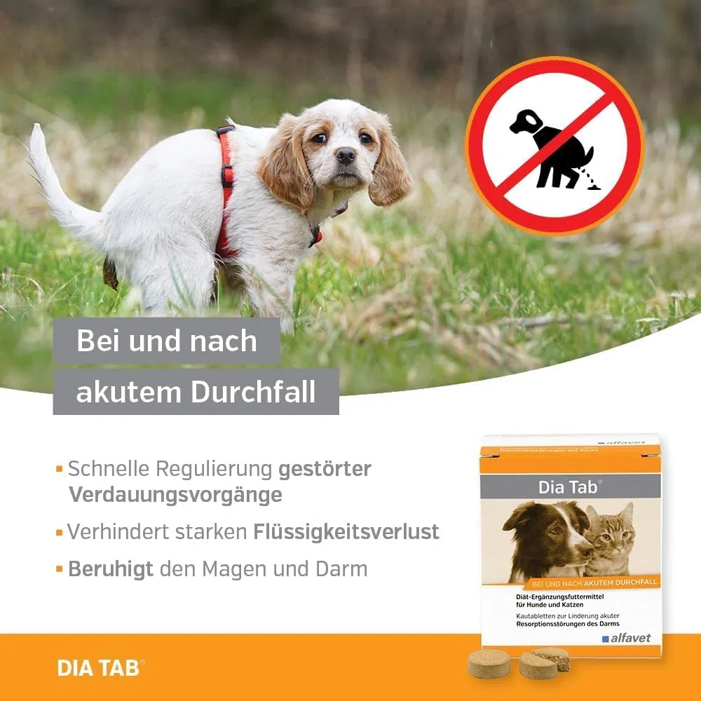 alfavet Dia Tab, 60 x 5,5g, Diät-Ergänzungsfuttermittel für Hunde und Katzen, Kautablette bei und nach akutem Durchfall