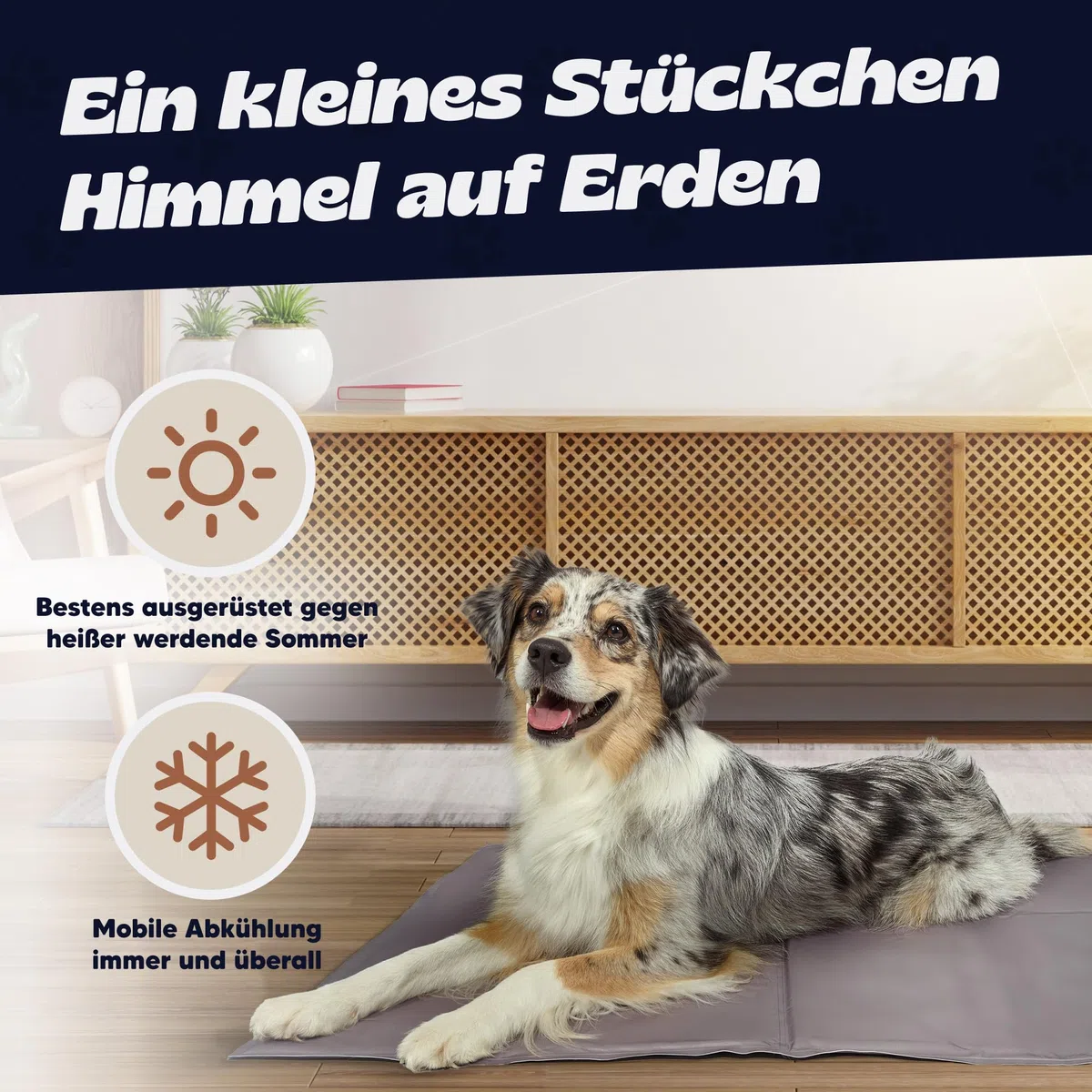 NALA Kühlmatte für Hunde Selbst Kühlende Hundematte Sommer Kühlkissen hundematte für Zuhause Unterwegs oder im Auto Größe (S)