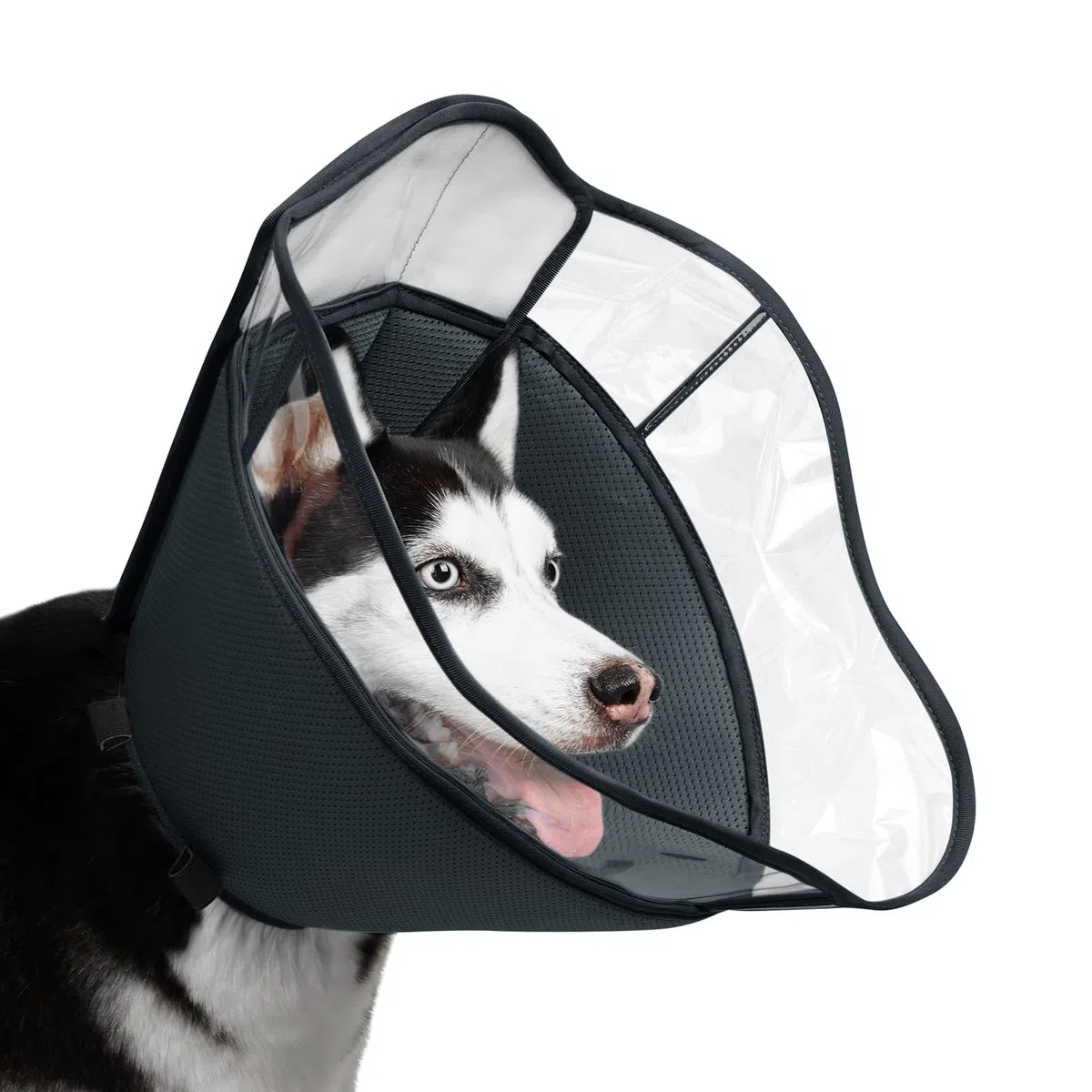 Mayerzon Halskrause Hund Weich, Leckschutz Hund, Schutzkragen Hunde Halskrause, Einstellbarer Hundekragen mit Leckschutz, Leichte Halskrausen für Hunde, Haustier-Elizabethanischer (Grau, XL)