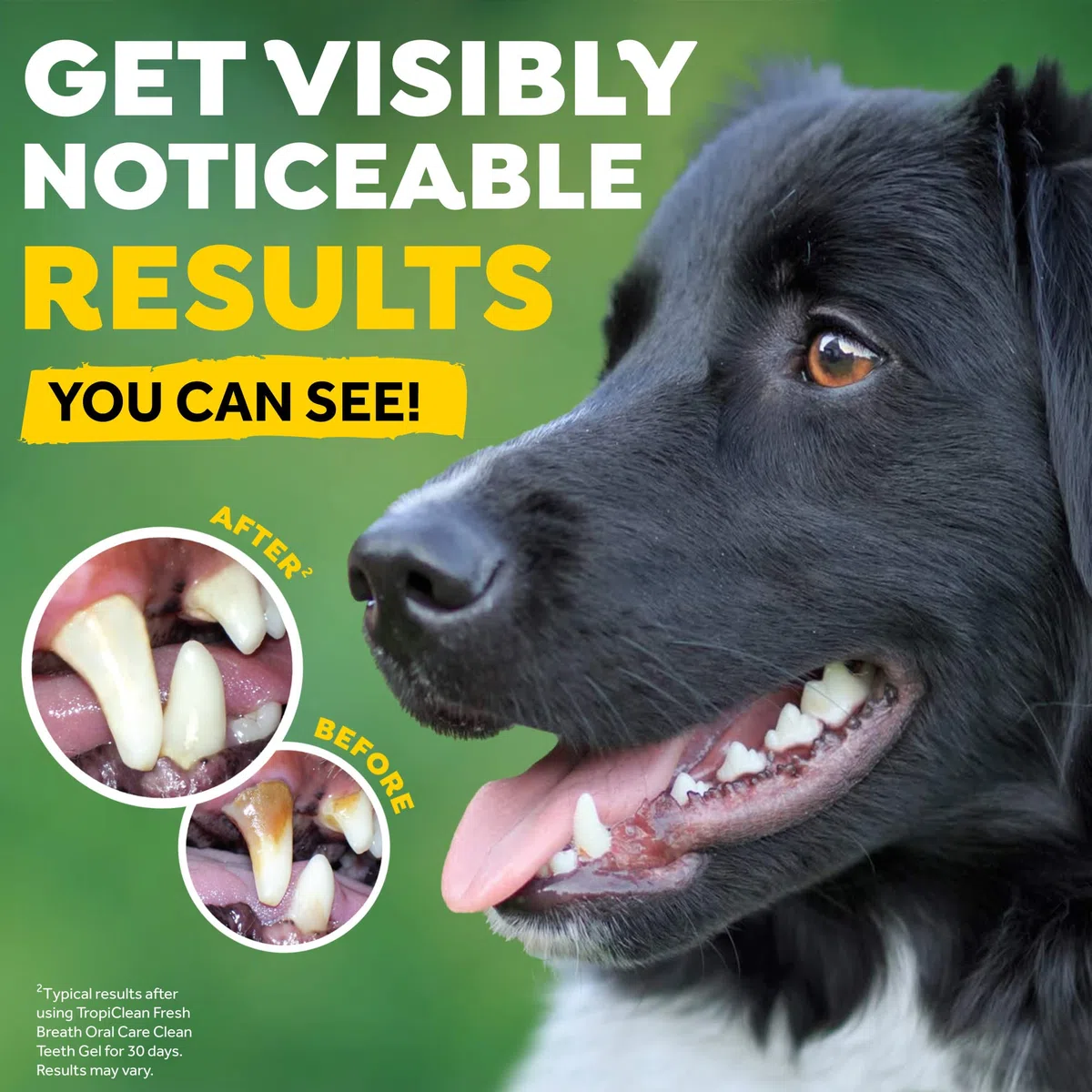 Fresh Breath von TropiClean Dental Trial Kit