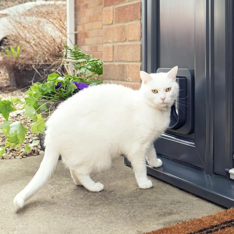 Sure Petcare SureFlap Mikrochip-Katzenklappe, batteriebetrieben, kompatibel mit RFID-Halsbandanhängern und Mikrochips, EIN-Knopf-Steuerung, Einbau in Türen, Glasscheiben und Wände, grau/weiß