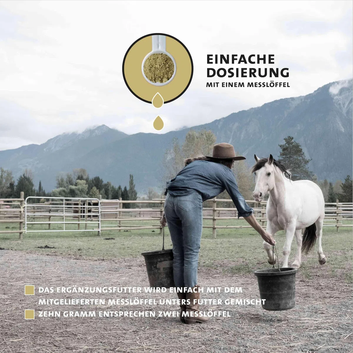 Peticare Bronchial und Husten-Mittel für Pferde | Unterstützt Atemwege & bei Erkältung, Schnupfen | Schleimlösend | Natürliche Kräuter-Formel | Hustensaft-Pulver | GMO-frei | petHorse Health 4609