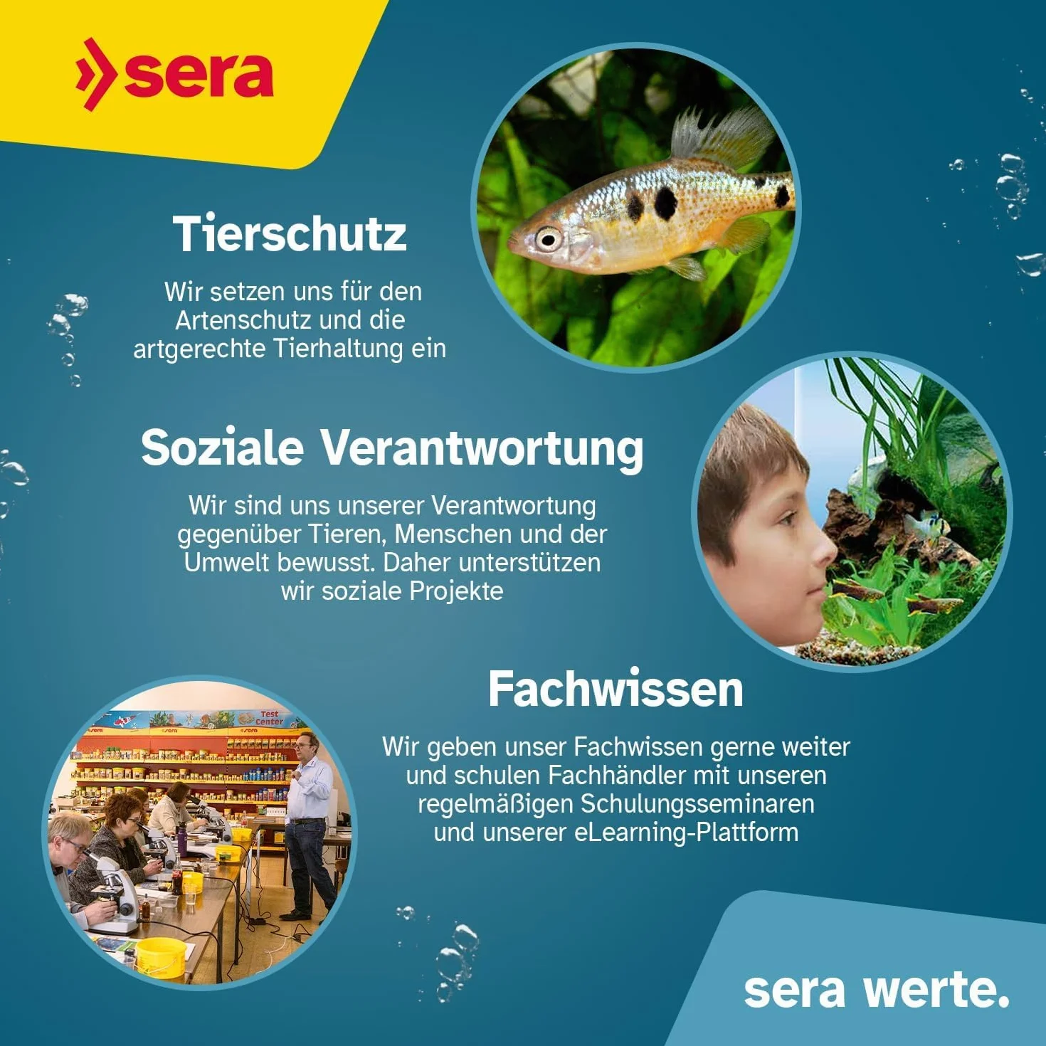 sera air 550 R Plus| Stromsparende Aquarium Pumpe mit Rückschlagventil | Aquarium Zubehör | Energieeffizient & leise | Starker Luftstrom Nonstop | Modulares Design, leicht zu warten