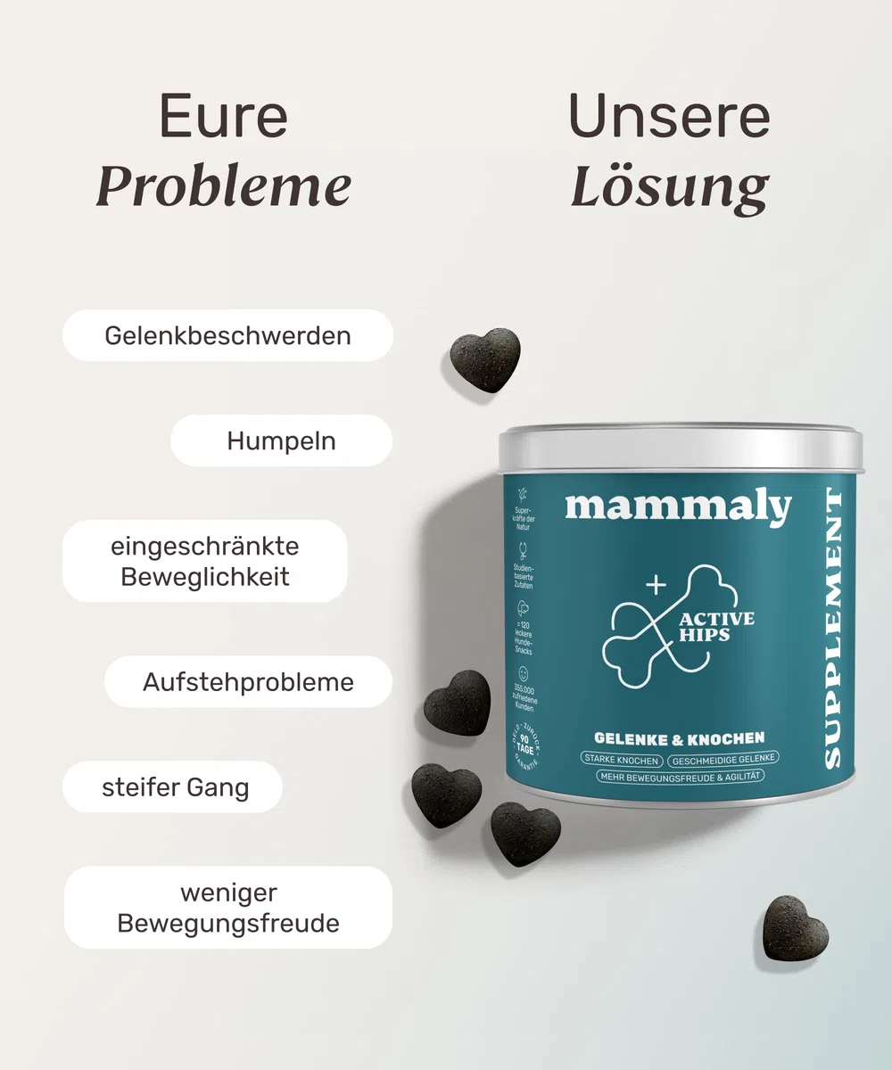 11-in-1 Grünlippmuschel Hund Gelenktabletten - Active Hips 110 Leckerli (325g) von mammaly - Gelenk- & Knochenschutz für Hunde - Praktische Alternative zu Kapseln & Grünlippmuschelpulver für Senior