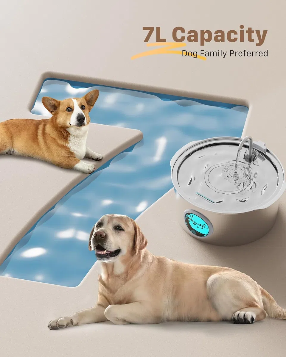 Hunde Trinkbrunnen für Katze Edelstahl: 7L / 236oz Katzenbrunnen – Superleiser Katzen Trinkbrunnen - LED Licht - Geeignet für große Hunde, Katzen und Haushalte mit Mehreren Haustieren