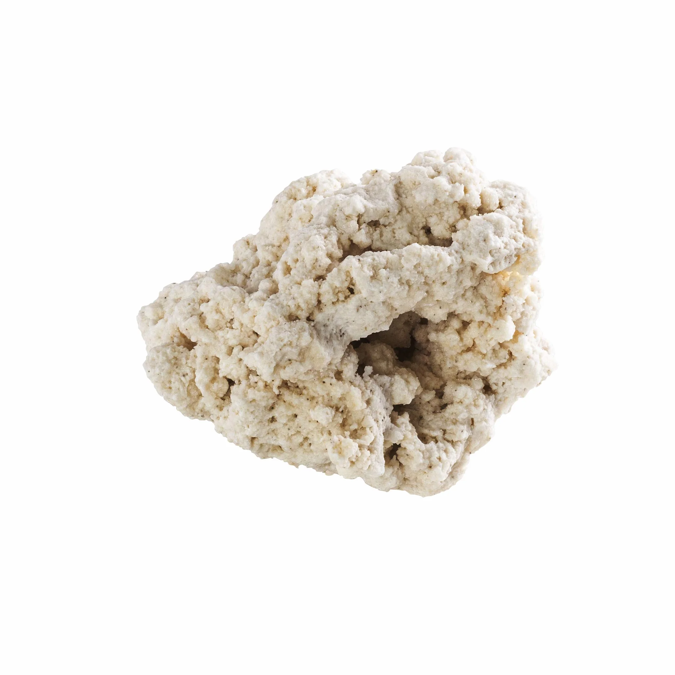 ARKA Riffgestein Aquarium 13–20 cm / 20 kg – natürliches Aragonit-Riffgestein für Meerwasseraquarien – porös, schadstofffrei & ideal für Korallen und Bakterien myREEF-Rocks