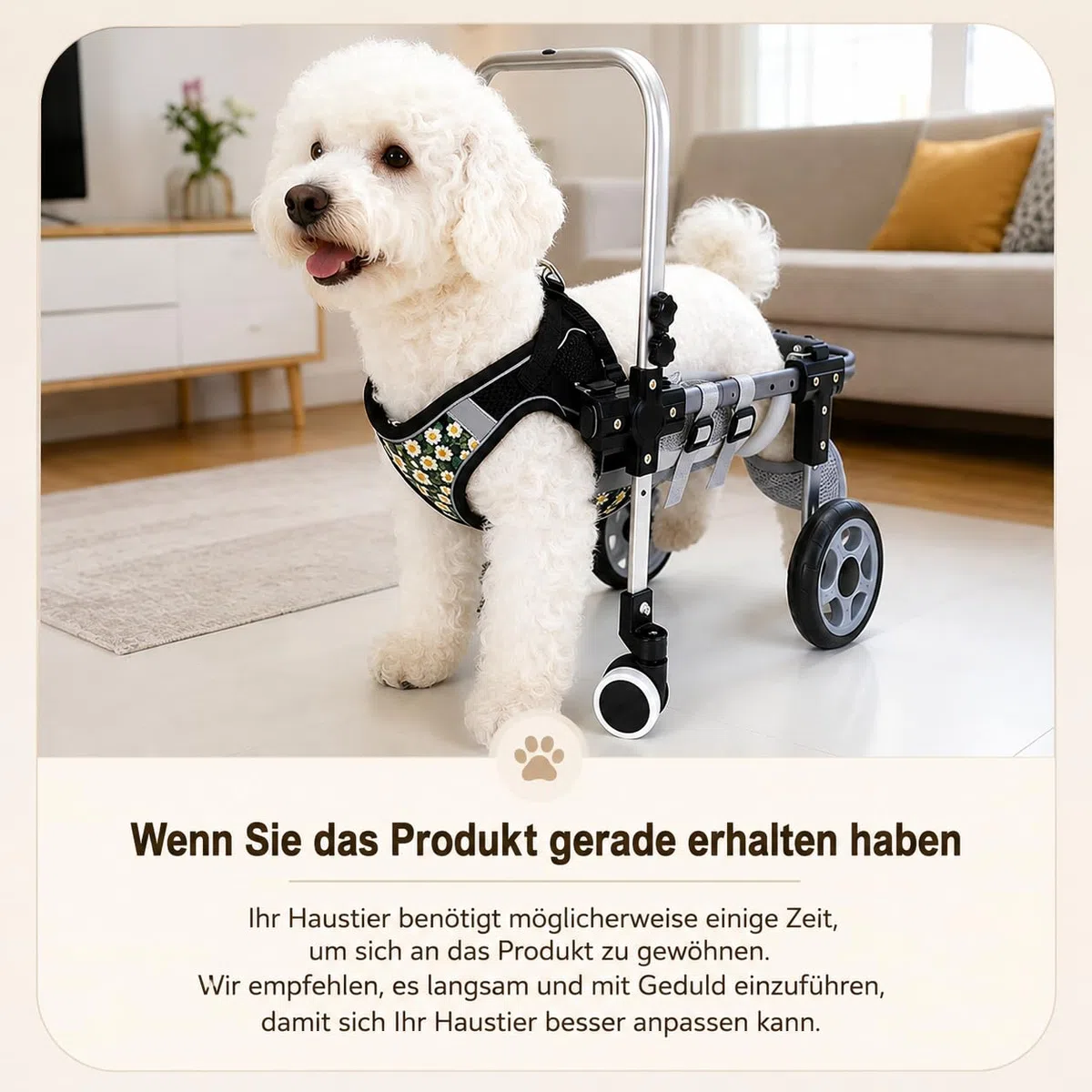 Verstellbarer 4-Rad-Hunderollstuhl Für Vorder- Und Hinterbeine – Leichte Mobilitätshilfe Für Verletzte, Behinderte Oder Ältere Hunde – Passend Für Kleine Bis Große Rassen(4wheel,L)