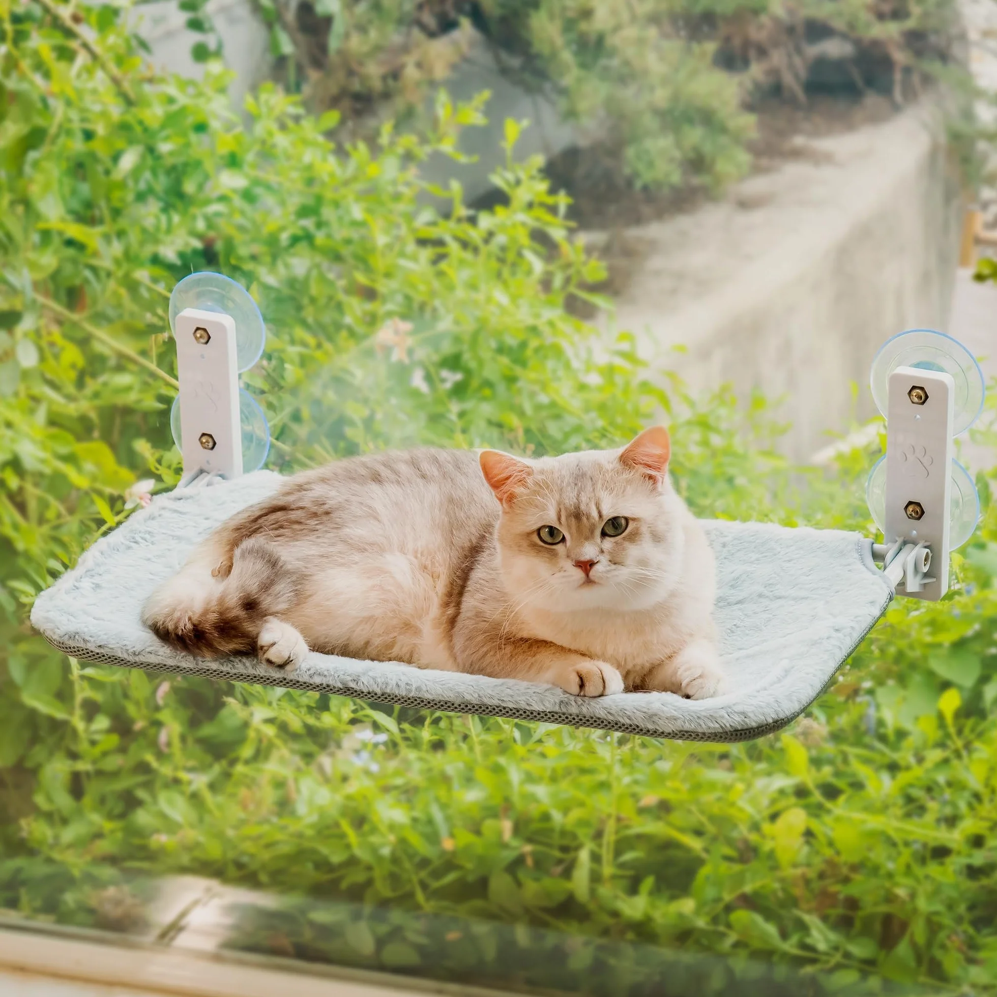 EDAGNY Katzen Hängematte Weicher Weich mit Wendbarem und Waschbarem Matte - 54x30cm Katzen Fensterliege Katzenbett Fenster Stabiler Metallrahmen Stabil zu 18kg,Grau M