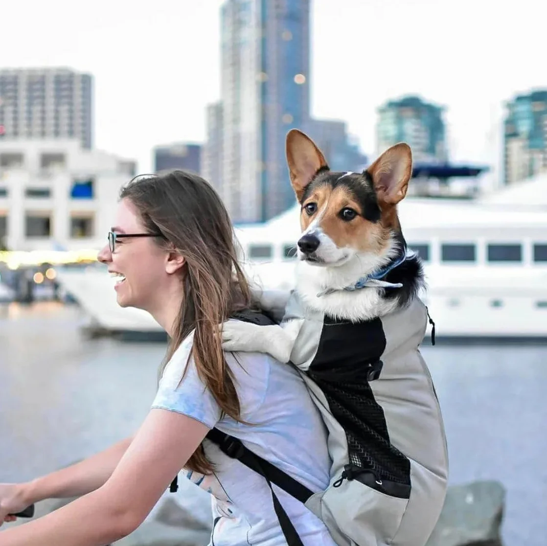 PETCUTE Hundetasche Hundetransporttasche Tragetasche füR Hunde Katzen Wanderrucksack Seite Atmungsaktives Netz Rucksack füR Mittel Hunde Katzen bis zu 10 kg