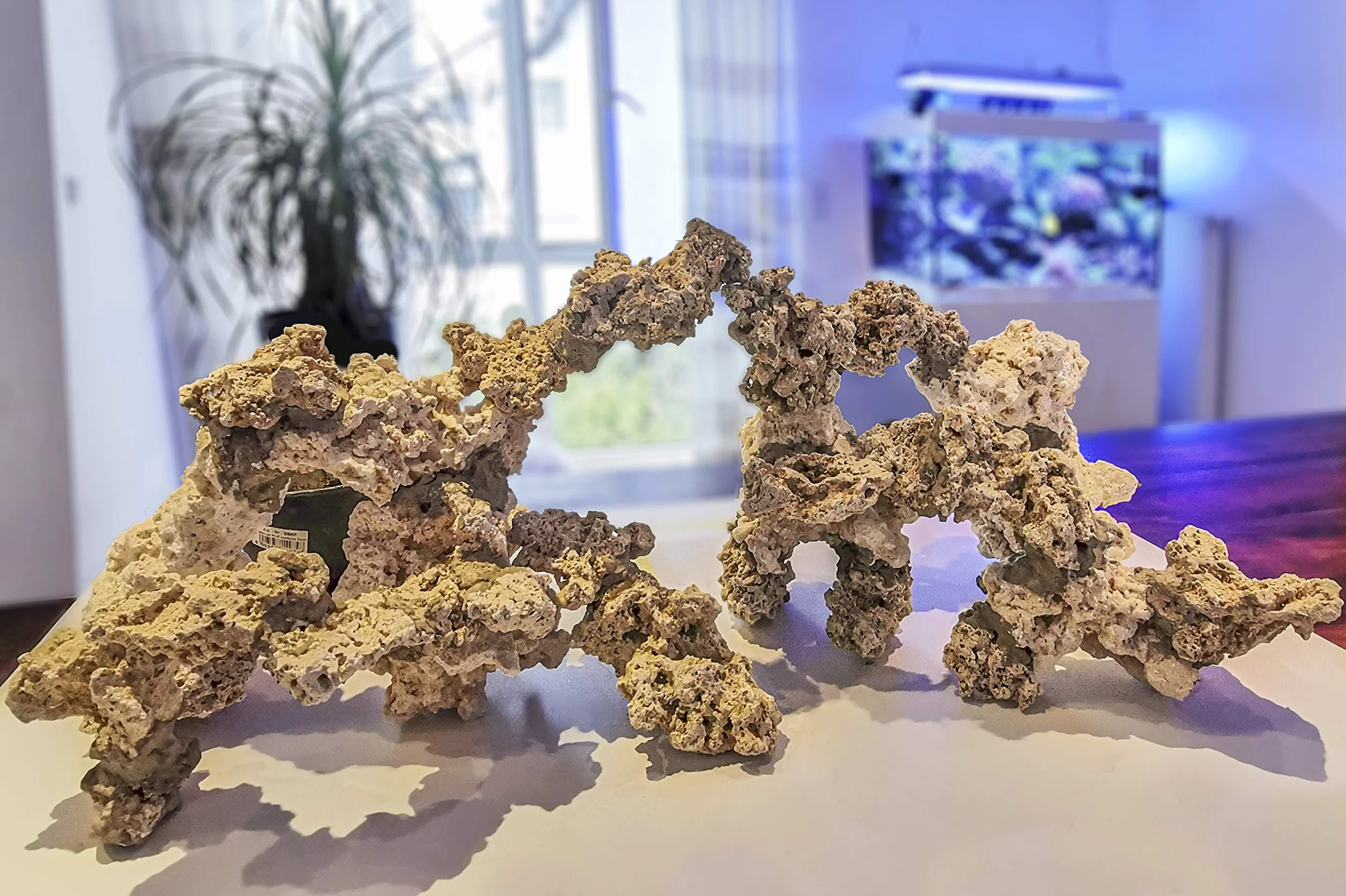ARKA Riffgestein Aquarium 13–20 cm / 20 kg – natürliches Aragonit-Riffgestein für Meerwasseraquarien – porös, schadstofffrei & ideal für Korallen und Bakterien myREEF-Rocks