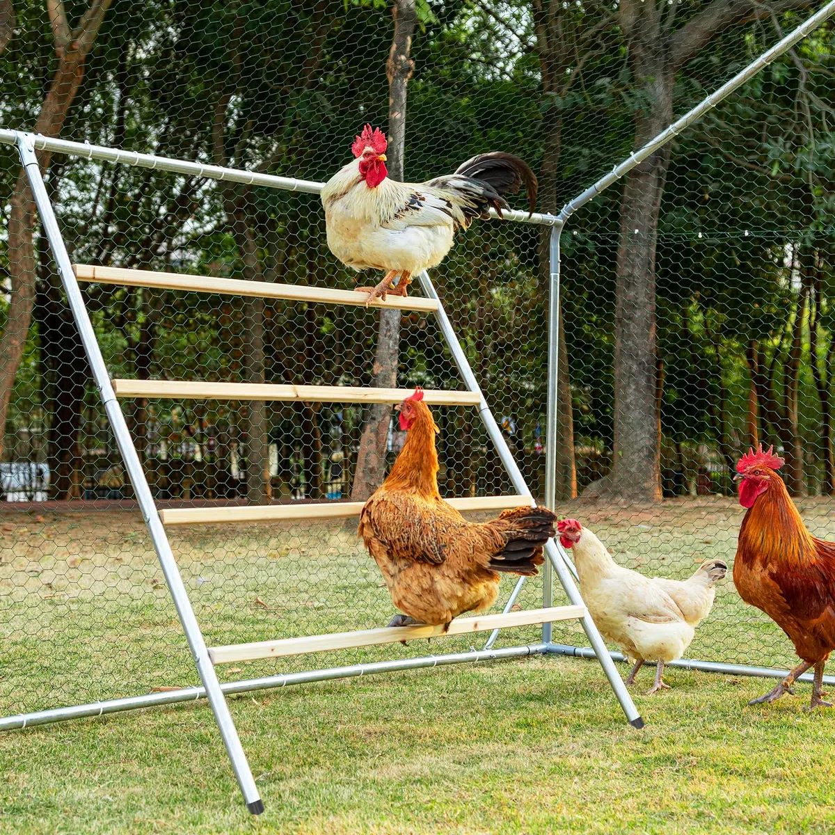 Petsfit Große Hühnerleiter, Sitzleiter für Hühner aus Holz für den Hühnerstall, leicht zu installieren und zu reinigen, perfekt für Geflügel im Hinterhof, Hühner Spielzeug Zubehör (140x100 cm)