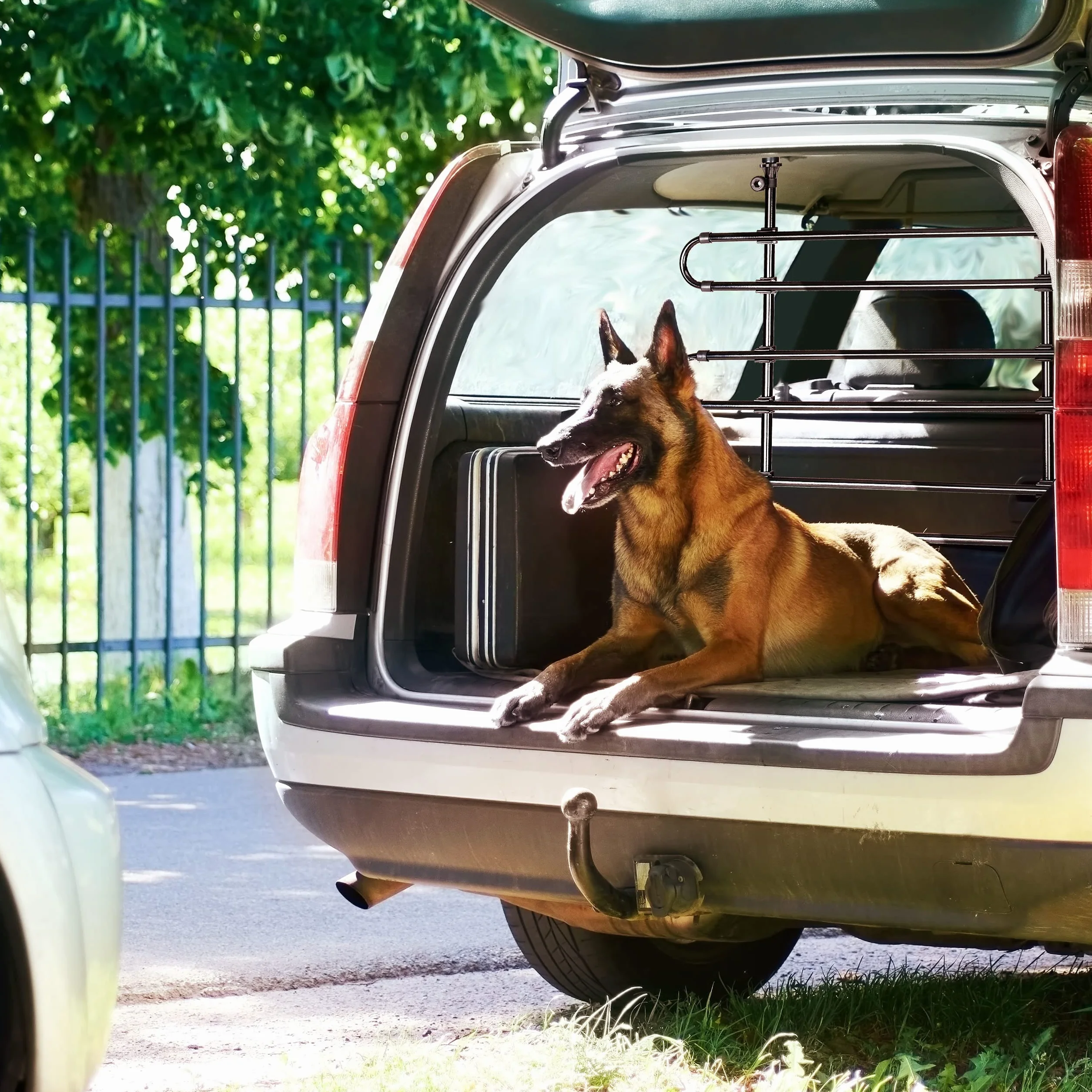 Relaxdays Hundegitter Auto, Schutzgitter Hund, zum Klemmen, Universal Trenngitter, Höhe und Breite verstellbar, schwarz, ‎8 x 83 x 79 cm; 3,6 Kilogramm