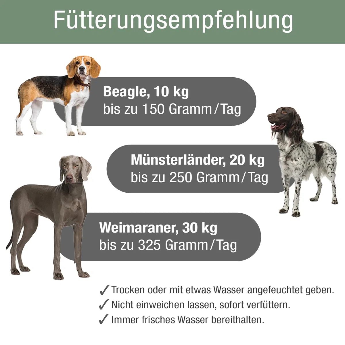 PLATINUM - Hundenahrung Adult Chicken aus Fleischsaftgarung - 5kg Hundefutter trocken nährstoffreich wie Barf - besonders schmackhaftes Hundetrockenfutter für kleine und große Hunde - in DE geprüft