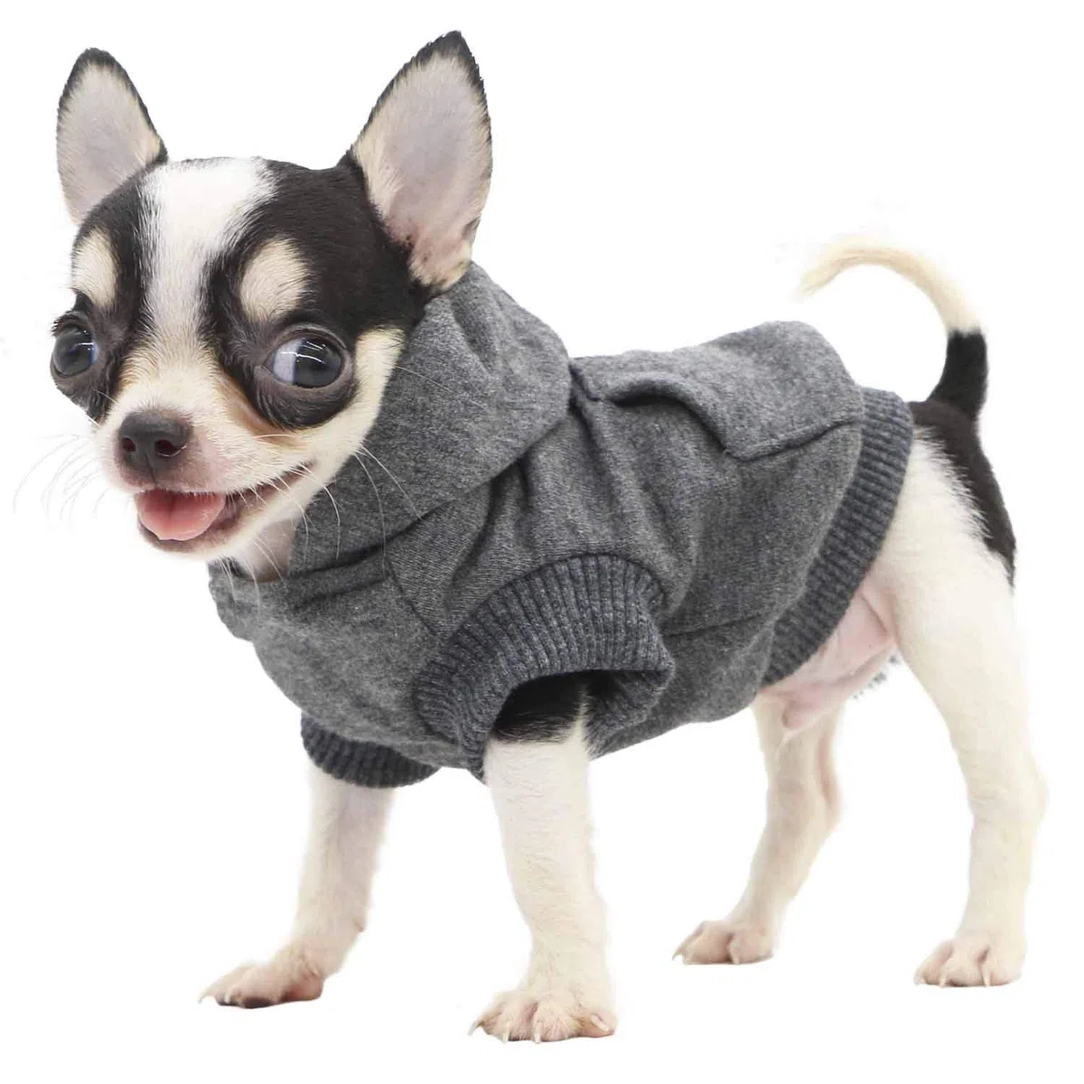 LOPHIPETS Hunde-Kapuzenpullover aus Baumwolle für kleine Hunde, Chihuahua, Welpenkleidung, kaltes Wetter, Anthrazit/Größe XXS