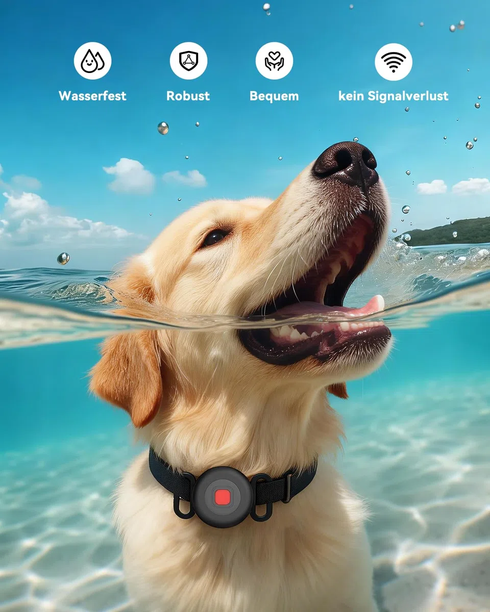 Hund GPS Tracker für Android ohne ABO, Hundetracker Katzentracker für Halsband, Android Smart Tag kompatibel mit Google Find Hub, Wasserdicht Tracking Standort von Haustieren (2 Pack)