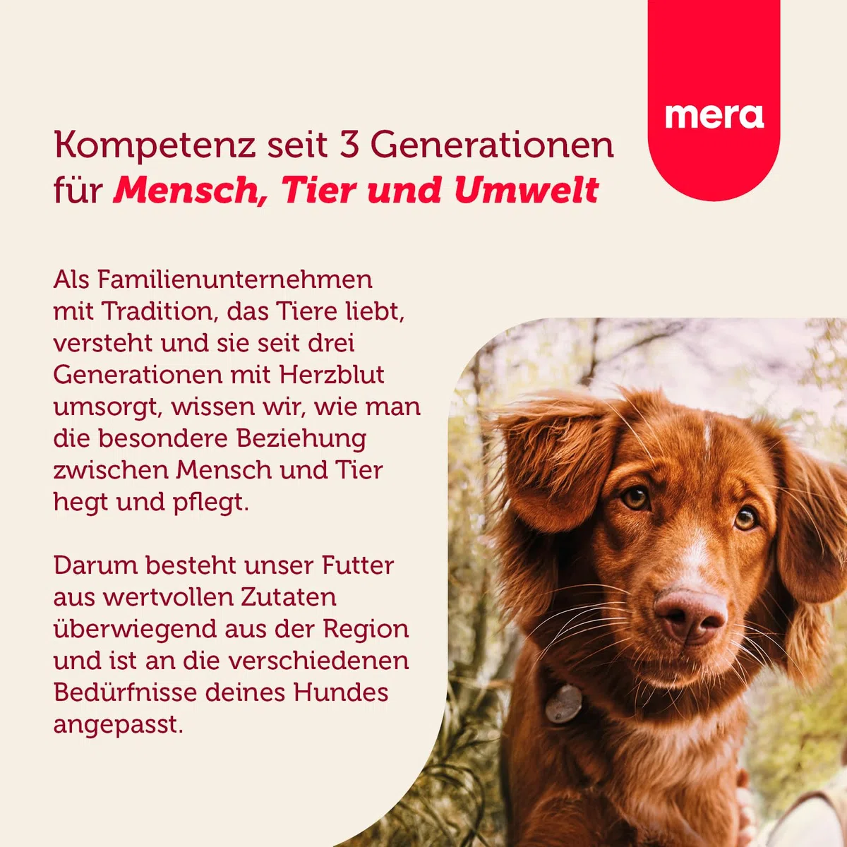 mera Essential Geflügel Hundefutter für ausgewachsene normal aktive Hunde, Trockenfutter 12,5kg