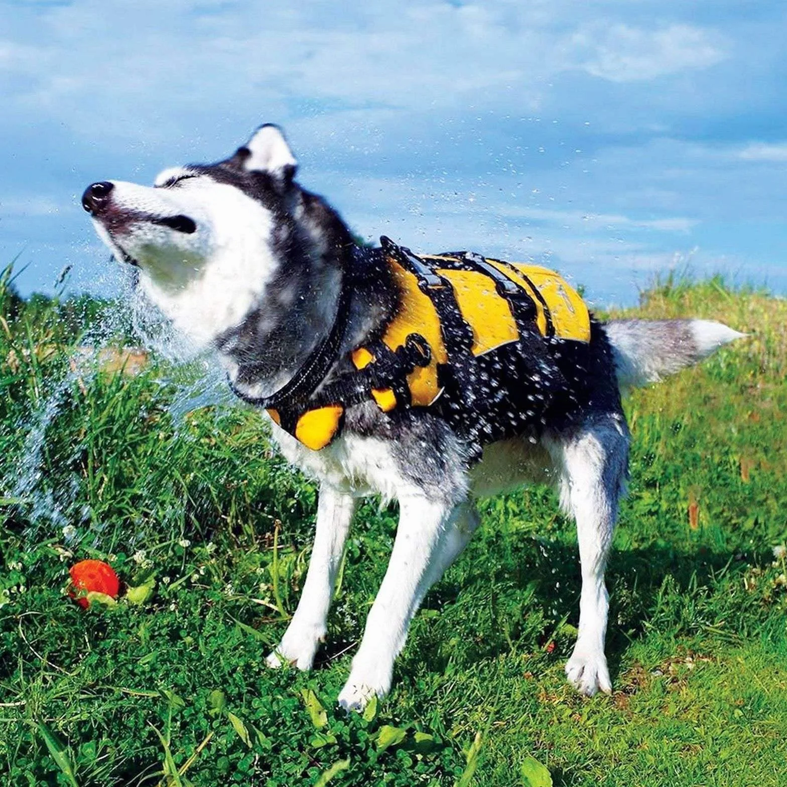 EzyDog Schwimmweste Hund - DFD Hundeschwimmweste - Schwimmwesten für für Kleine, Mittelgroße und Große Hunde - Rettungsweste mit Griff und Reflektoren, Größenverstellbar (M, Rot)