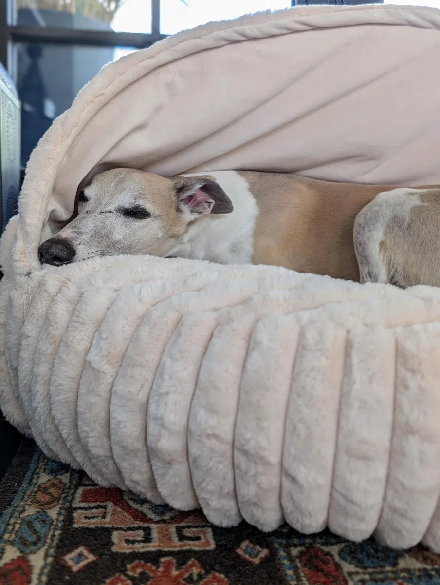 EDEL&SCHNELL Hundebett Wechselbezug Hellbeige 90 cm Ersatz Bezug Hundebett Flocke mit Kapuze Bezüge als Hundehöhle aus weichem Kunstfell