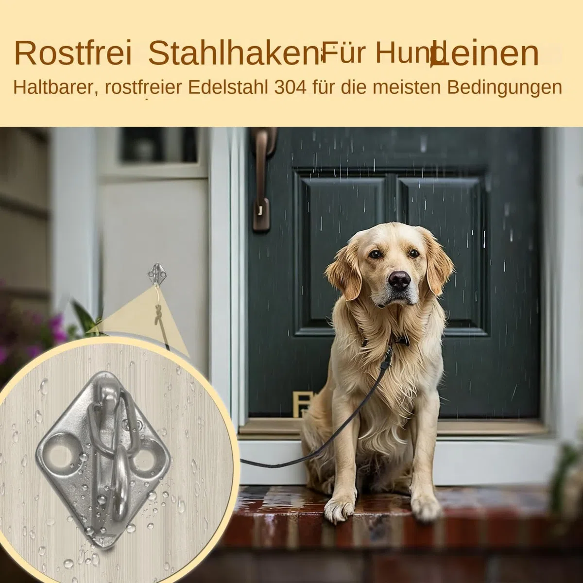 Hunde-Anbindehaken – rostfreier Edelstahl, Leine zum Parken im Innenbereich, zuverlässiger Halter für die Leine für Haustiere | Robuste Wandhalterung zur Tierhaltung für Eltern, Mieter, Eingangsbereic