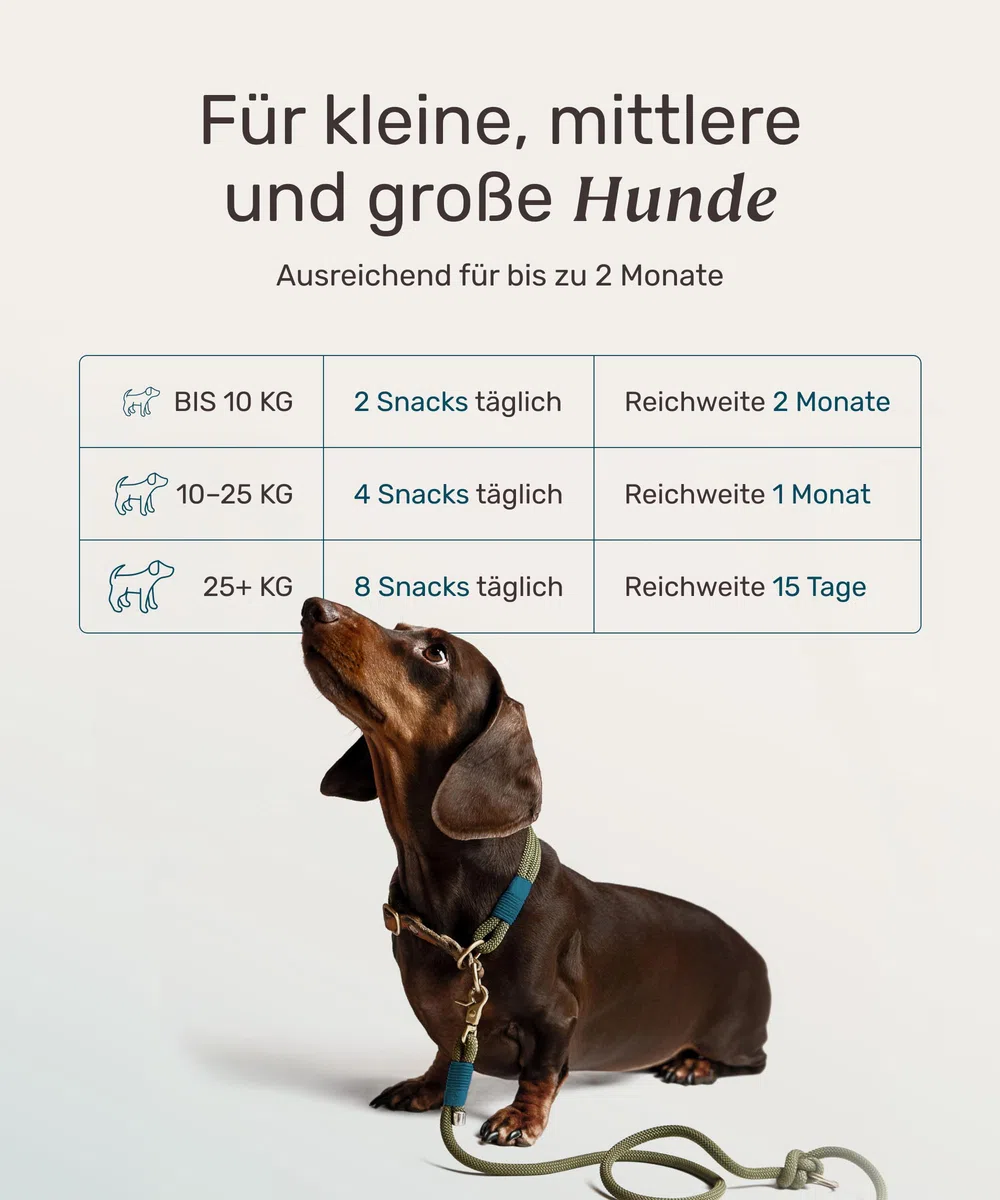 11-in-1 Grünlippmuschel Hund Gelenktabletten - Active Hips 110 Leckerli (325g) von mammaly - Gelenk- & Knochenschutz für Hunde - Praktische Alternative zu Kapseln & Grünlippmuschelpulver für Senior