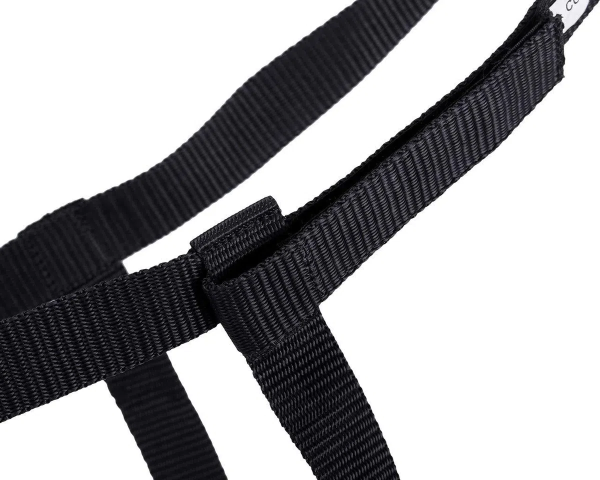 QHP Weidehalfter Halfter mit Klettverschluss schwarz