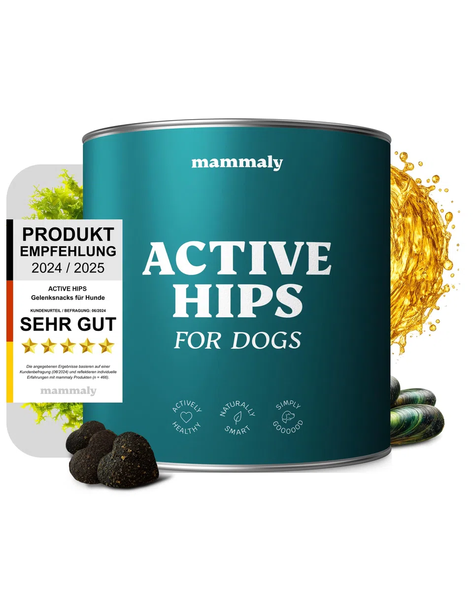 11-in-1 Grünlippmuschel Hund Gelenktabletten - Active Hips 110 Leckerli (325g) von mammaly - Gelenk- & Knochenschutz für Hunde - Praktische Alternative zu Kapseln & Grünlippmuschelpulver für Senior