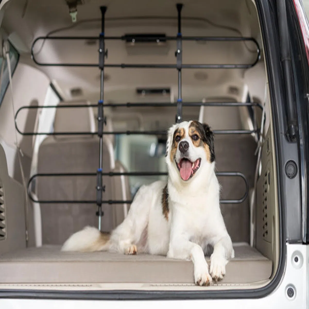 Petsafe Metall-Teiler für Hunde im Auto, passend für die meisten Autos und Minivans