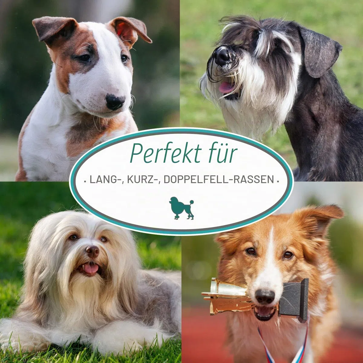 Nature's Specialties EZ Shed Conditioner für Hunde - Entfernt Unerwünschte Haare & Befeuchtet die Haut - Verringert das Scheuern - Pflegt das Fell des Hundes - Herrlicher Duft, 473ml