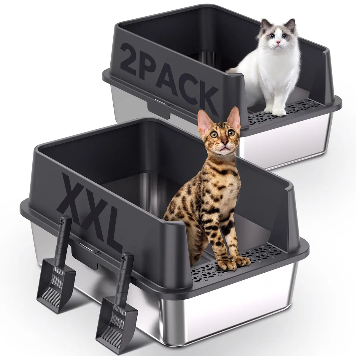2er Set XXL Katzenklo Edelstahl 60×40×30 cm (37 L) – hoher Rand offene Katzentoilette Edelstahl für große Katzen & Mehrkatzenhaushalte, Metall Katzenklo geruchsfrei, auslaufsicher, inkl. Streuschaufel