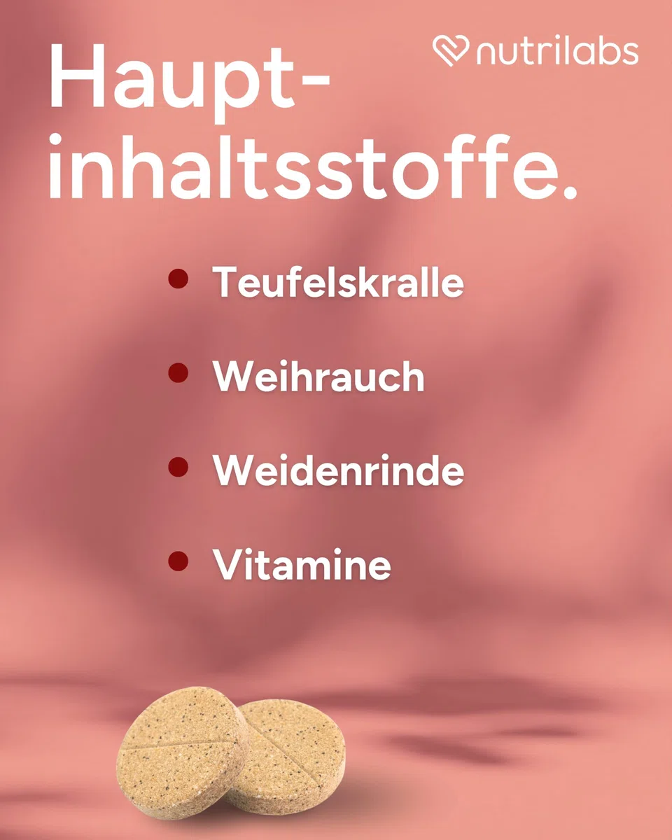 NutriLabs Dexboron forte Hunde Kautabletten 150 STK. - Tabletten mit Teufelskralle - Regenerationsmittel mit Weidenrinde, Weihrauchextrakt u.v.m.