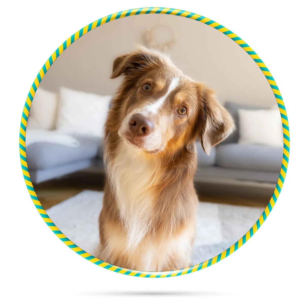 Boehringer Ingelheim Canikur Kautabletten | Doppelpack | 2 x 3 x 4 Stück | Diät-Ergänzungsfuttermittel für Hunde | Kann dabei helfen die natürliche Darmflora zu unterstützen