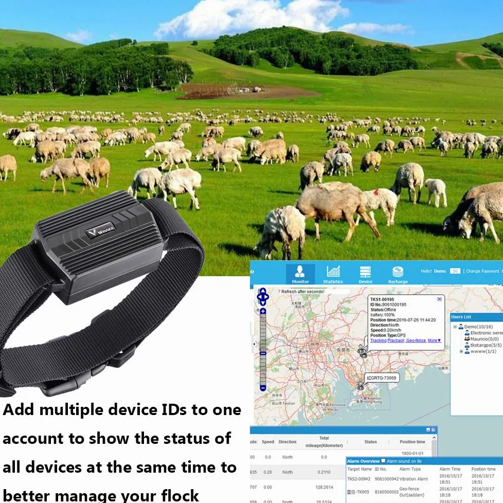 4G GPS Tracker Tier mit Halsband, 3000mAh Wasserdicht Rinder Schaf GPS-Tracker Weiden Anti Verloren GPS Tracking Geräte