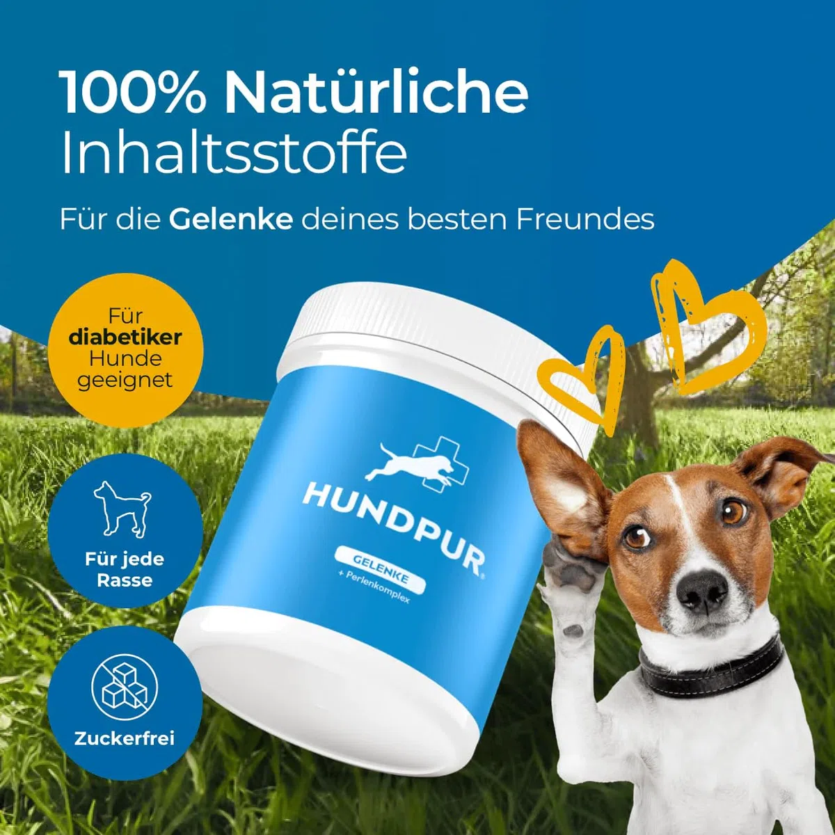 Gelenke 300g - Zusatzfutter - Pellets für Hunde zur Unterstützung der Gelenke mit wertvollen Gelenkbausteinen - Mit Grünlippmuschel, Glucosamin & MSM