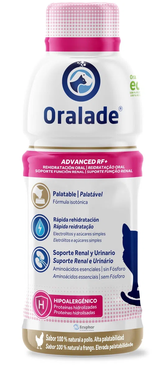 Oralade Advanced RF-Katzen 6 x 330 ml