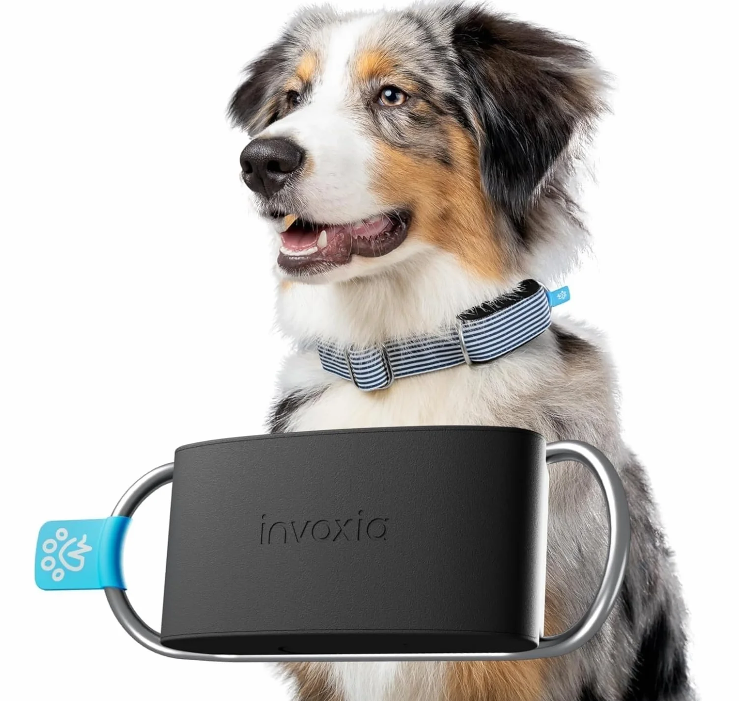Invoxia Minitailz – Nr. 1 GPS und Gesundheitstracker für Hunde – Fluchtwarnungen, Atemscan – Echtzeit Ortung, über USB wiederaufladbar, virtuelle Zone und Zaun – Mini-Tracker