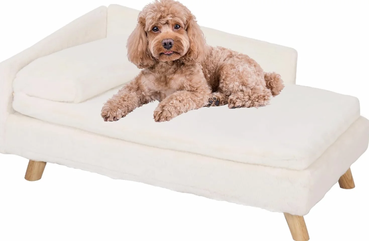 BingoPaw Luxus Hundesofa Hundecouch mit Rückenlehne Plüsch Kissen Holzbeinen, erhöhtes Hundebett Hundesofa für mittlere kleine Hunde, katzensessel für große Katzen, 80x50x39cm Beige
