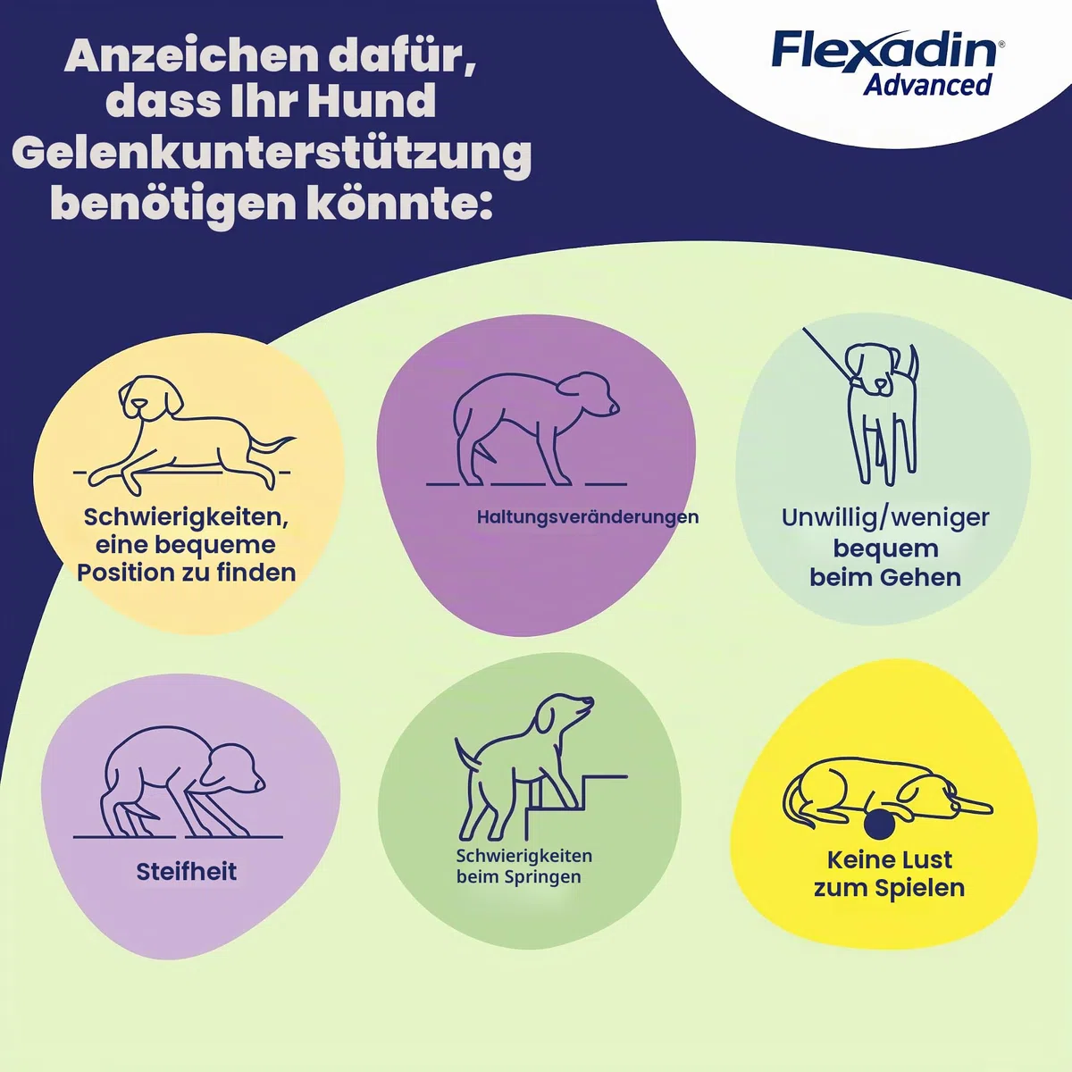 FLEXADIN ADVANCE BW PERRO 30CPD